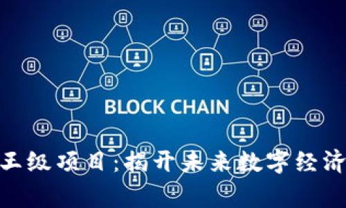 : 区块链帝王级项目：揭开未来数字经济的革命面纱