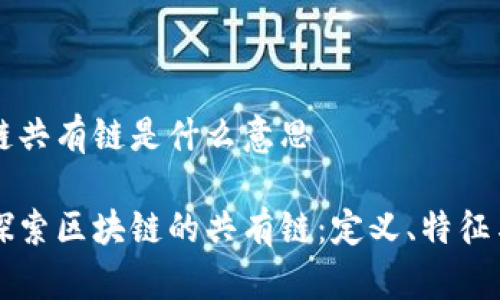 区块链共有链是什么意思

深入探索区块链的共有链：定义、特征与应用